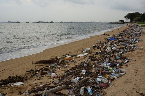 Single-use plastics directive – The EP’s ENVI Committee voted in favour of the provisional agreement
