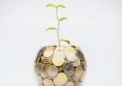 Financing the transition to a sustainable economy – European Commission strategy
